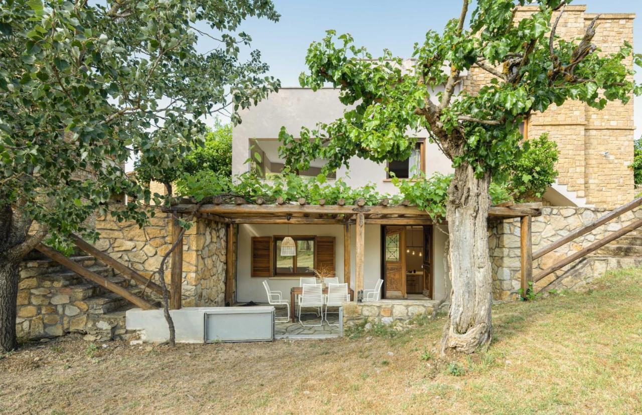 Villa Louise, Trani Ammouda #Feelslikehome 奥马斯帕纳吉亚斯 外观 照片