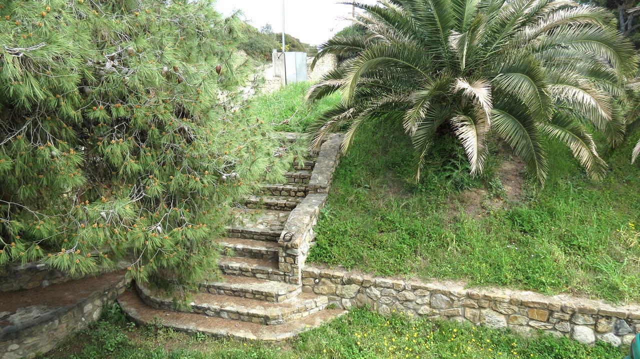 Villa Louise, Trani Ammouda #Feelslikehome 奥马斯帕纳吉亚斯 外观 照片